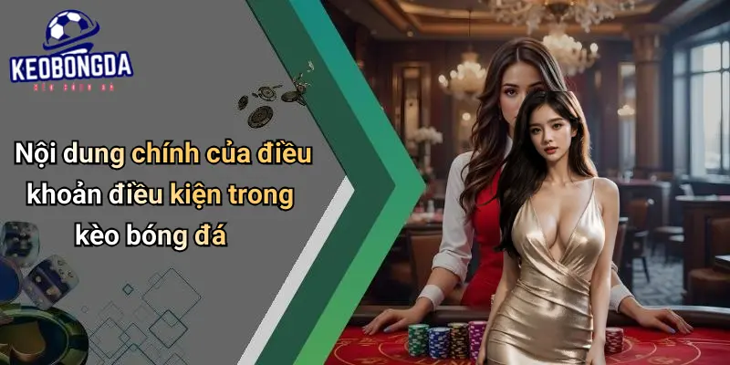 Điều Khoản Điều Kiện