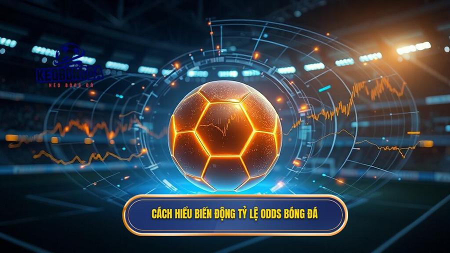 Cách hiểu biến động tỷ lệ odds bóng đá