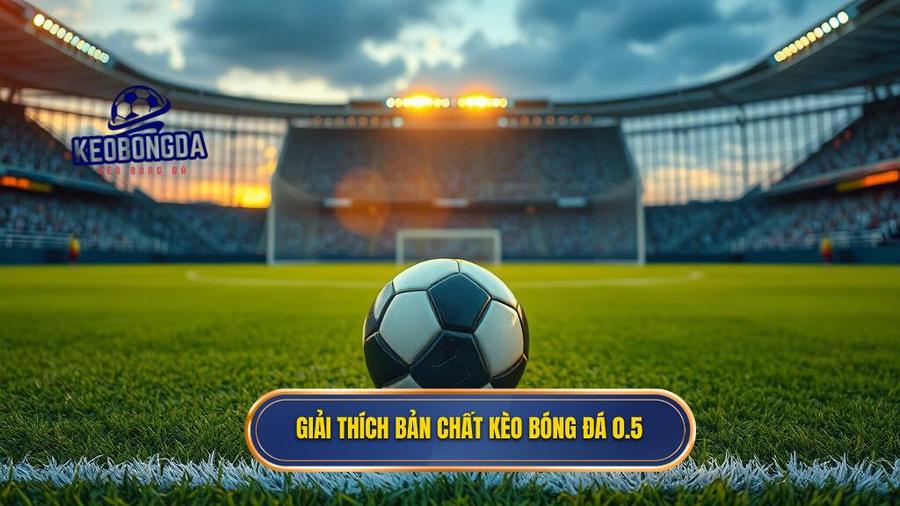 Giải thích bản chất kèo bóng đá 0.5