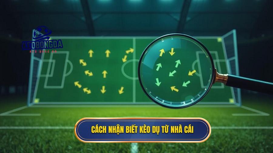 Cách nhận biết kèo dụ từ nhà cái