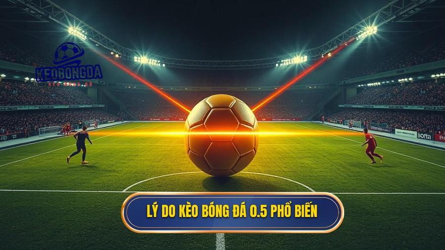  Lý do kèo bóng đá 0.5 phổ biến