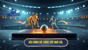 Tại sao kèo bóng đá 0.5 lại thường xuyên xuất hiện? Giải mã từ chuyên gia
