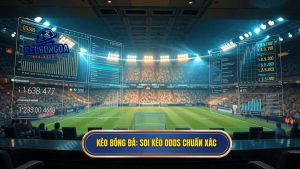 Soi kèo bóng đá dựa trên biến động tỷ lệ odds: Bí quyết chiến thắng
