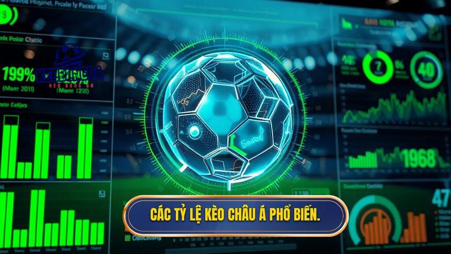 2. Các tỷ lệ kèo châu Á phổ biến.