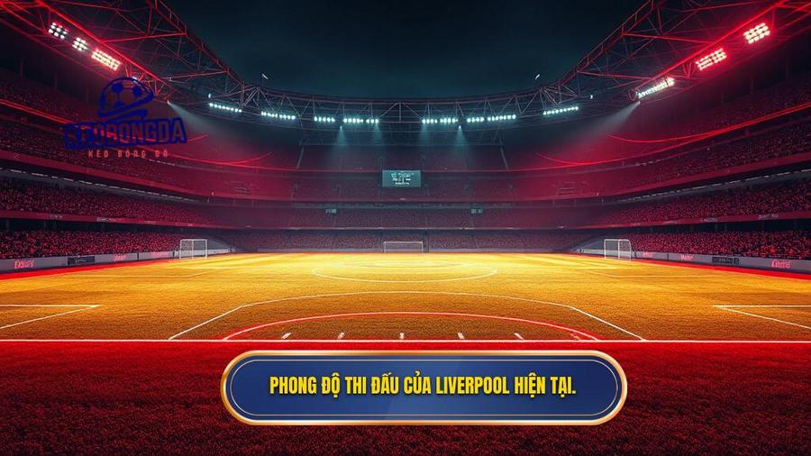 2. Phong độ thi đấu của Manchester United.
