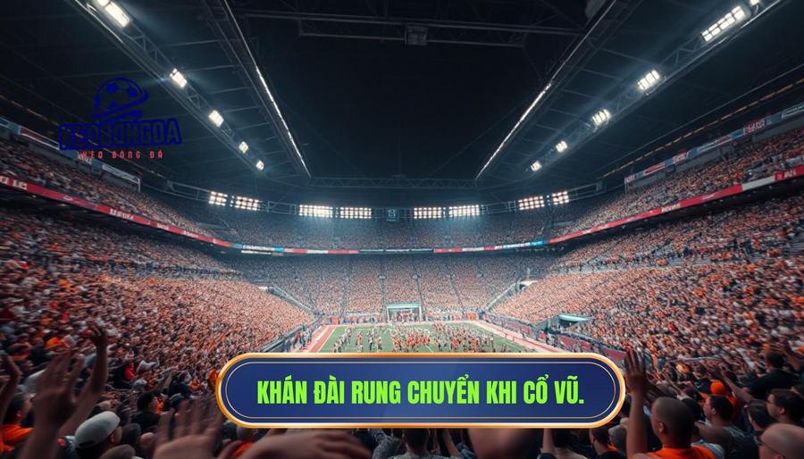 Giải mã hiện tượng: Tại sao khán đài rung chuyển mạnh mẽ?