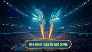 Khán đài rung chuyển mạnh mẽ
